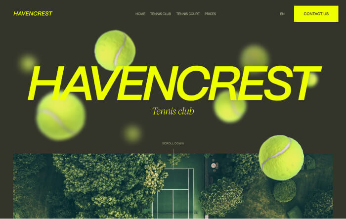 Homepage design by Eazyclick for legal wellness and sports