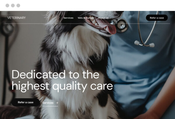 Stunning and user-friendly homepage for a veterinary clinic, featuring information and a photo of a dog to build trust.